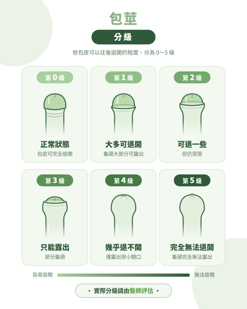 包莖分級圖